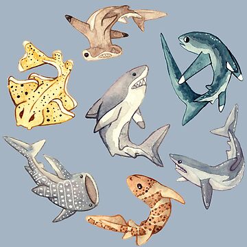 Aperçu de l'œuvre Shark Circle - Aquarelle de DeadHeadDarling