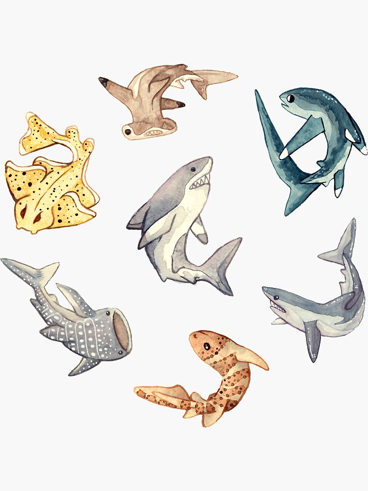 Aperçu 3 sur 3. Sticker avec l'œuvre Shark Circle - Aquarelle créée et vendue par DeadHeadDarling.