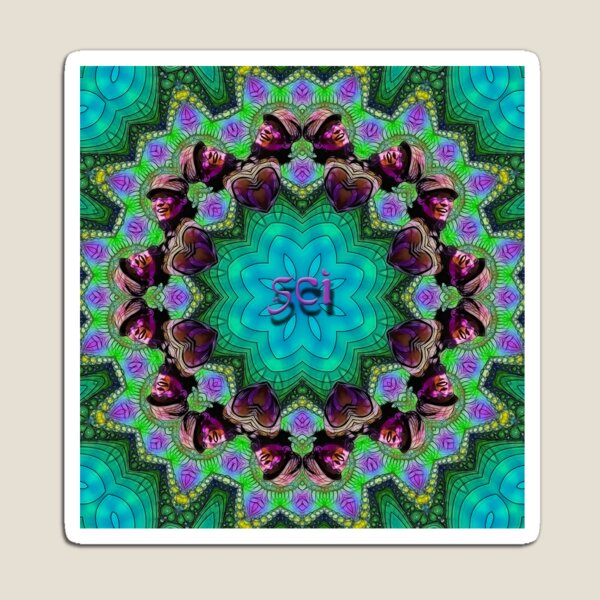 Michael Kang- String Cheese Incident Magnet