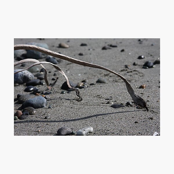 Touch Down Photographic Print