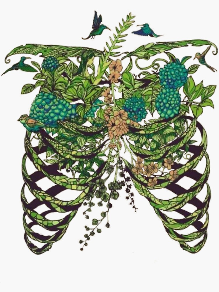 Thumbnail 3 of 3, Sticker, Nature Rib Cage designed and sold by pentel.
