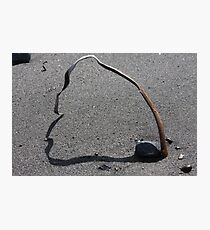 Ribbon Dance Photographic Print