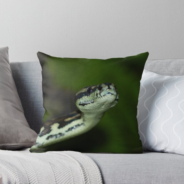 Item preview, Portrait of a Jungle python designed and sold by AnnaKT.