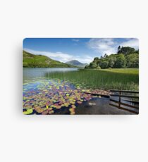 Loweswater Lake shore in summer from Holme Wood English Lake District Canvas Print
