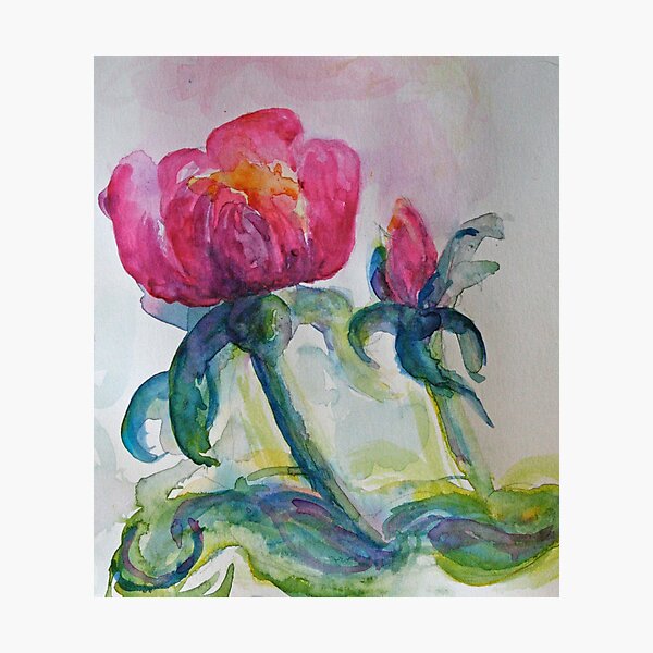 Pinky Purple Rose watercolour by CheyAnne Sexton Photographic Print