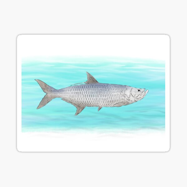 Tarpon Rider pinup girl riding a tarpon | Poster