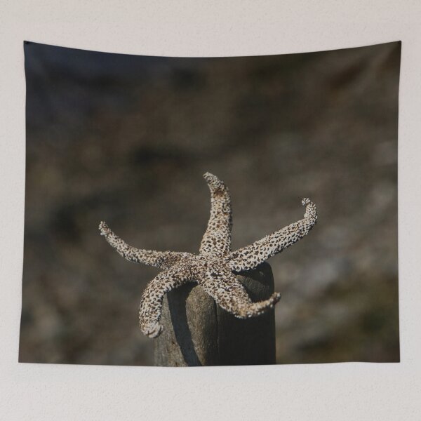 Item preview, starfish designed and sold by laura-S.
