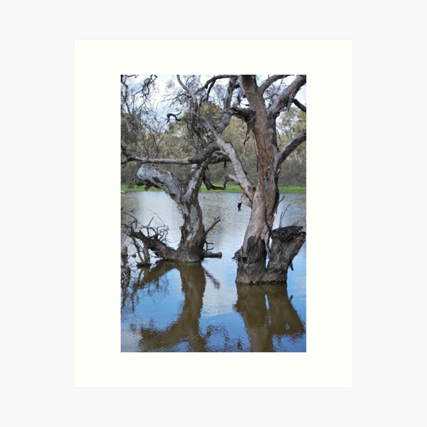 Trees with character Art Print