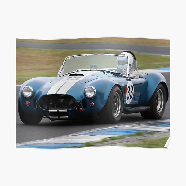 Blue Snake Poster