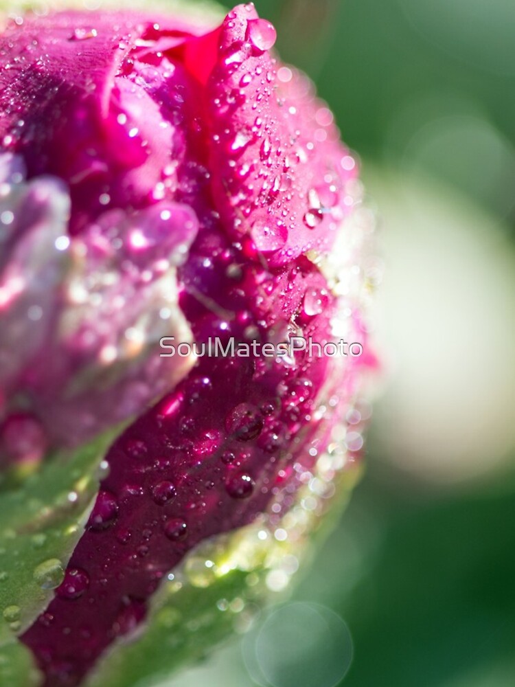 Thumbnail 4 of 4, iPhone Case, Pink Flower designed and sold by SoulMatesPhoto.