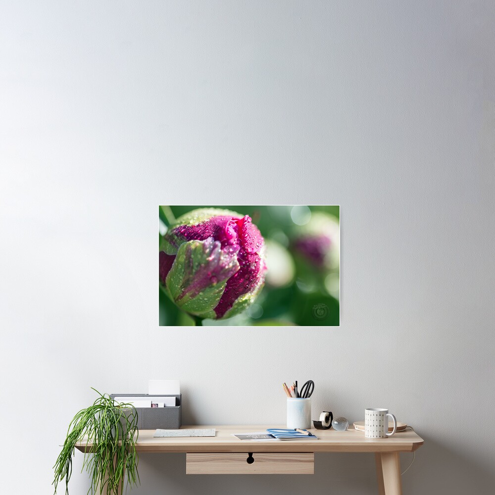 Item preview, Poster designed and sold by SoulMatesPhoto.