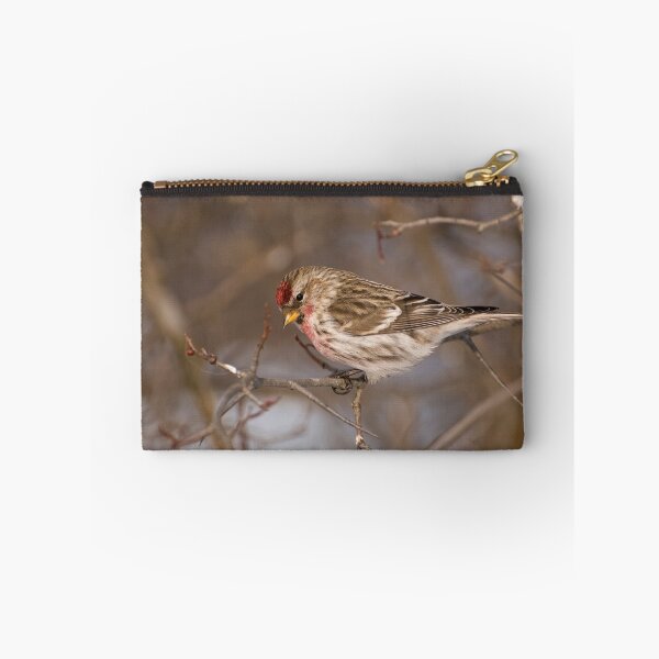 Item preview, Male Common Redpoll - Shirley's Bay, Ottawa, Ontario designed and sold by Tracey  Dryka.
