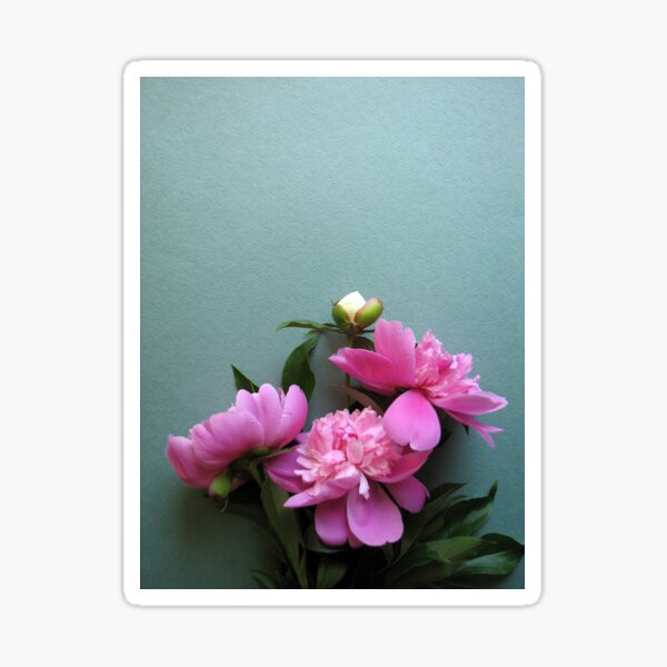 Item preview, pink peony blooms on green background designed and sold by Olga Berlet.