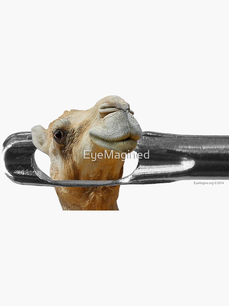 Camel Going Through the Eye of a Needle by EyeMagined