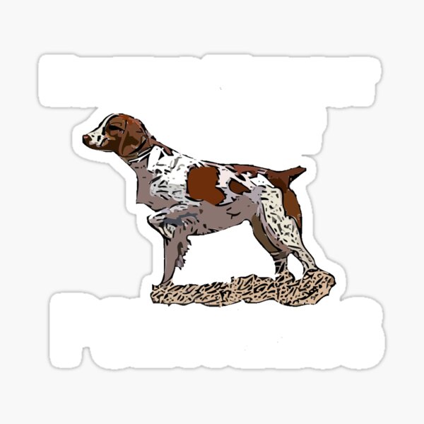 Decorating fly fishing gear boxes with Brittany Spaniel Decal