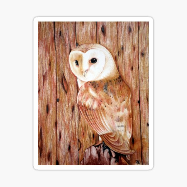Barn Owl Sticker