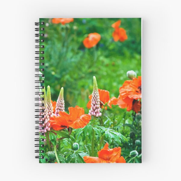Item preview, Verano designed and sold by Erwin G. Kotzab.