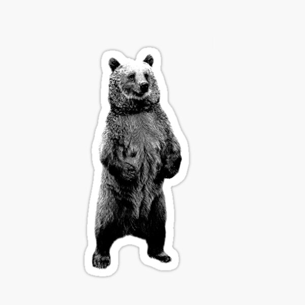 Item preview, Bear Standing Up. Wildlife Digital Engraving Image designed and sold by Digital Eclectica.