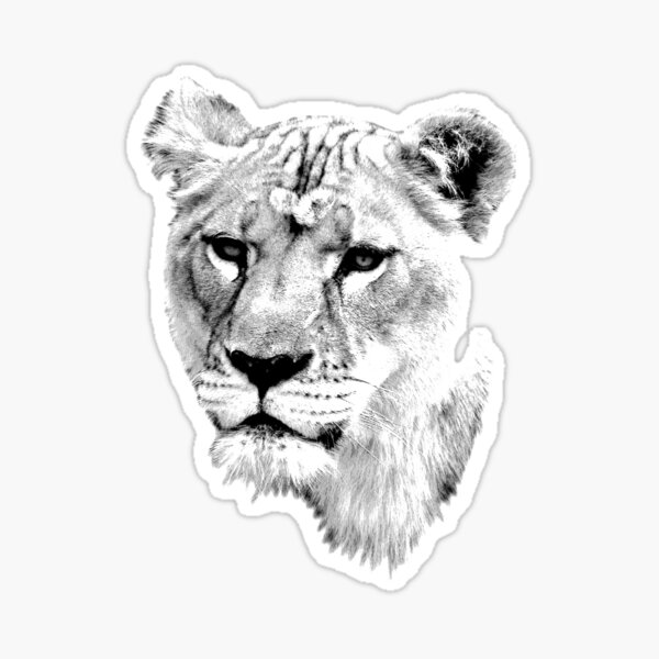 Item preview, Lioness. Female Lion. Digital Wildlife Engraving Image designed and sold by Digital Eclectica.