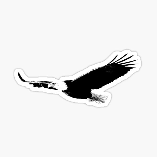 Item preview, Soaring Bald Eagle. Bald Eagle In Flight. Wildlife Digital Engraving Image. designed and sold by Digital Eclectica.