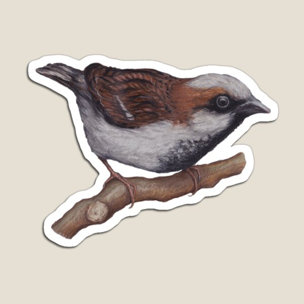 Sparrow Magnet