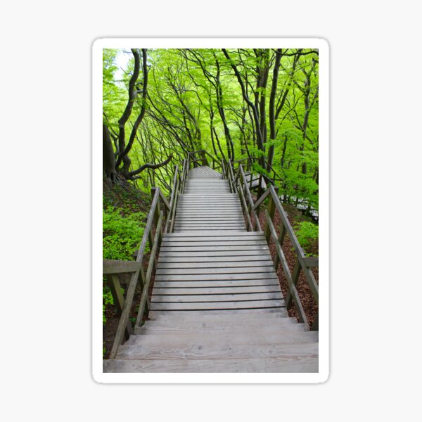 Item preview, Wooden stairs to the Mons Klint, Denmark designed and sold by Bruno Beach.