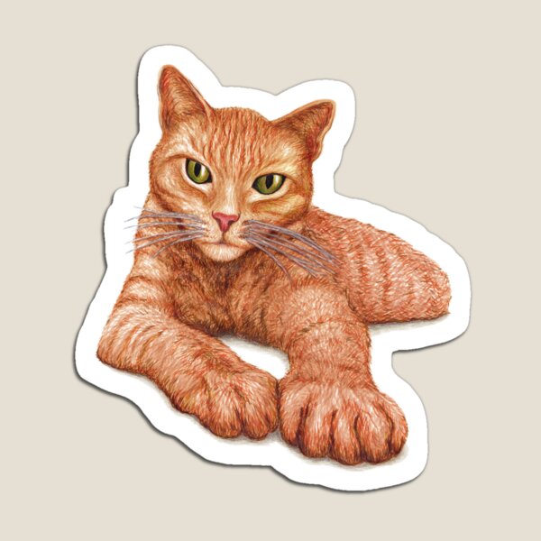 Orange Tabby Magnet