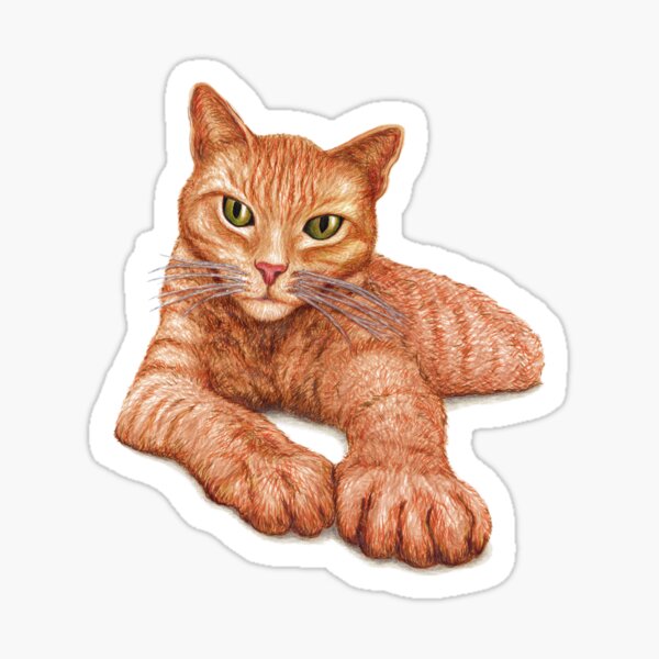 Orange Tabby Sticker