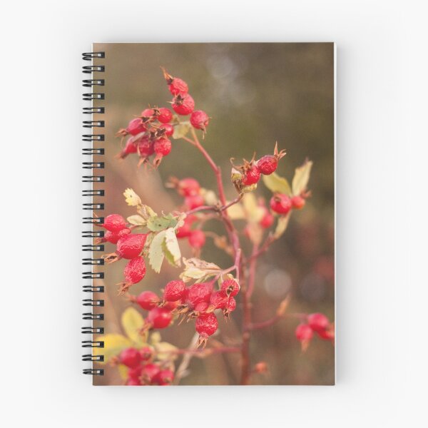 Item preview, Rose Hip Photography Print designed and sold by griffingphoto.