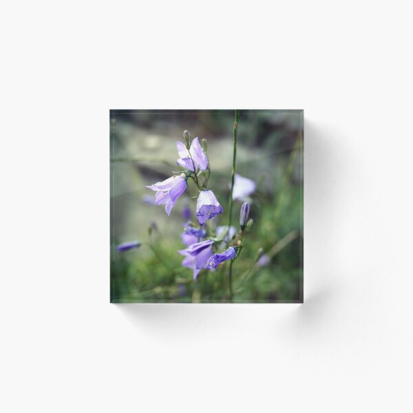 Item preview, La primavera está en el aire designed and sold by Merice  Ewart Marshall.