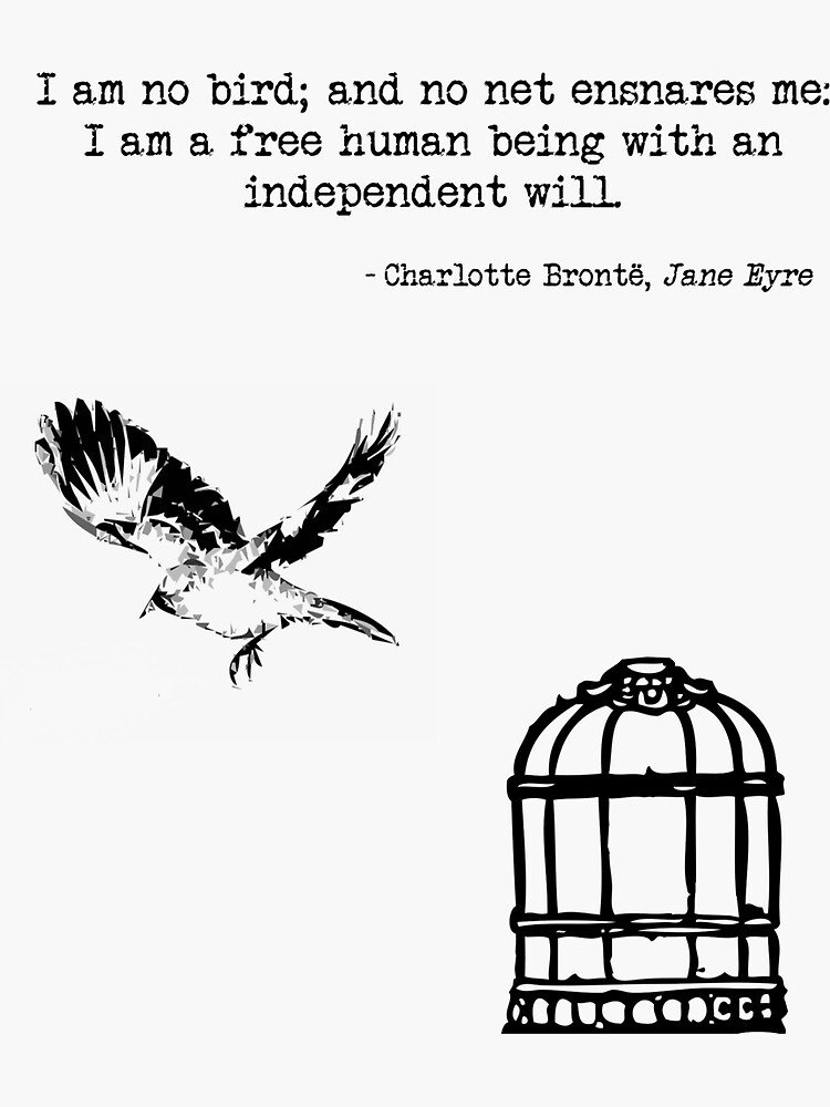 "no bird" Sticker for Sale by beforethedawn Redbubble