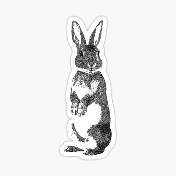 Grey Bunny Gifts & Merchandise For Sale | Redbubble