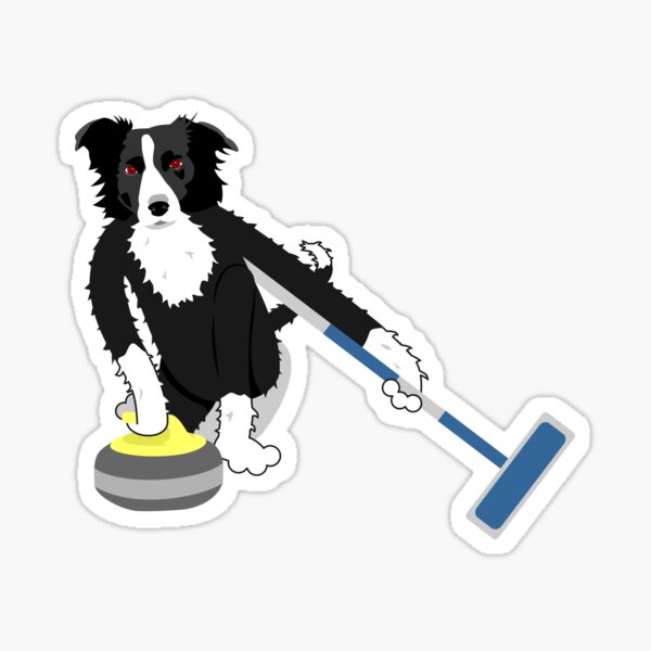 Border Collie Curling Sticker