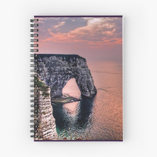 Item preview, Seagull In Etretat Sunset designed and sold by Weston  Westmoreland.