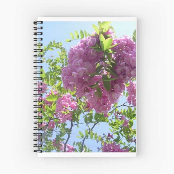Item preview, Acacia-Robinia viscosa Venten designed and sold by Ana Belaj.