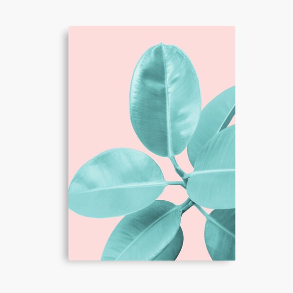 Ficus Elastica Pastel Blush Glam #1 #tropical #foliage #decor #art Canvas Print