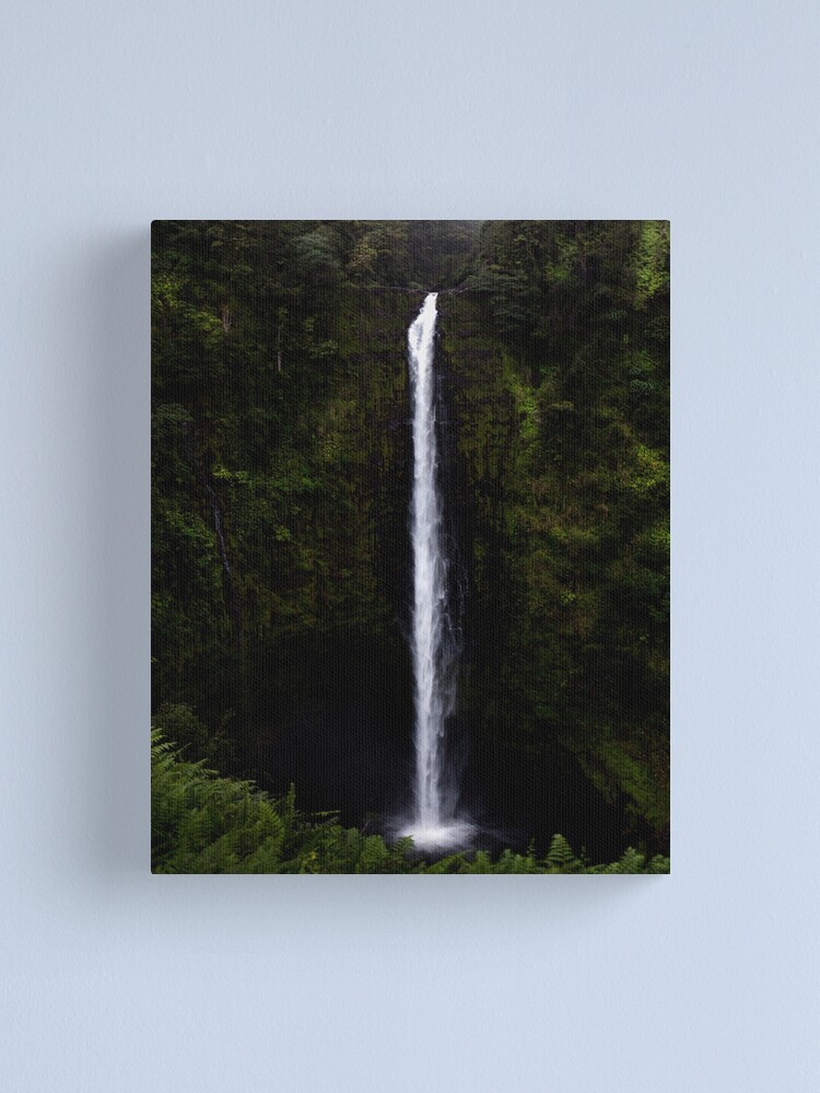 Thumbnail 1 of 3, Canvas Print, Akaka Falls designed and sold by darren-j-mcleod.