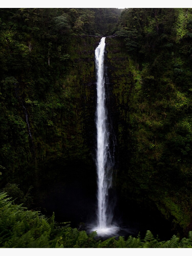 Thumbnail 3 of 3, Canvas Print, Akaka Falls designed and sold by darren-j-mcleod.