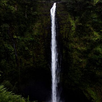Artwork thumbnail, Akaka Falls by darren-j-mcleod