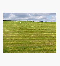 Bright & Colourful Photographic Print