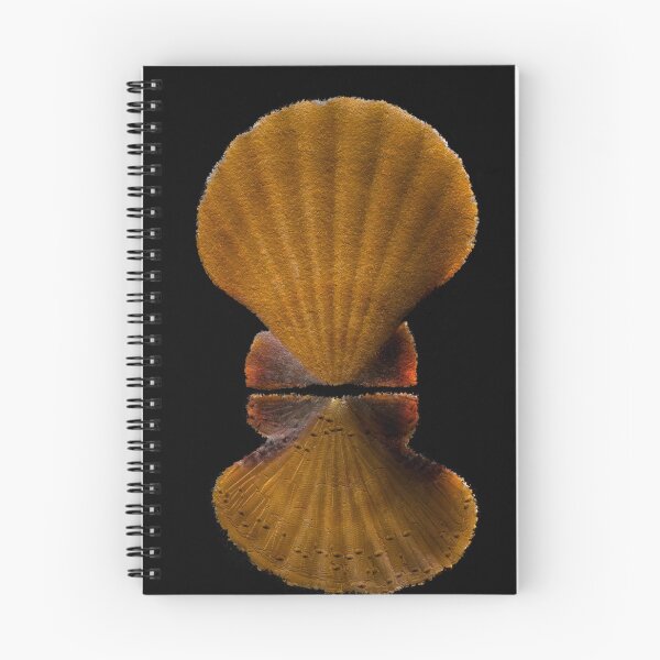Item preview, Yellow Shell - 177 designed and sold by OracleArtist.