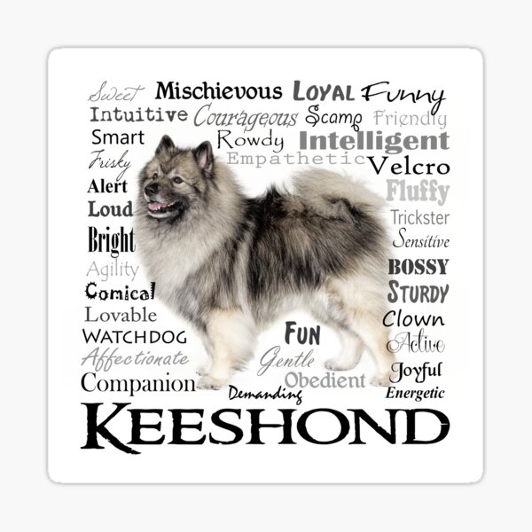 Keeshond Traits