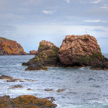 Artwork thumbnail, St. Abbs Rocks II by tomg