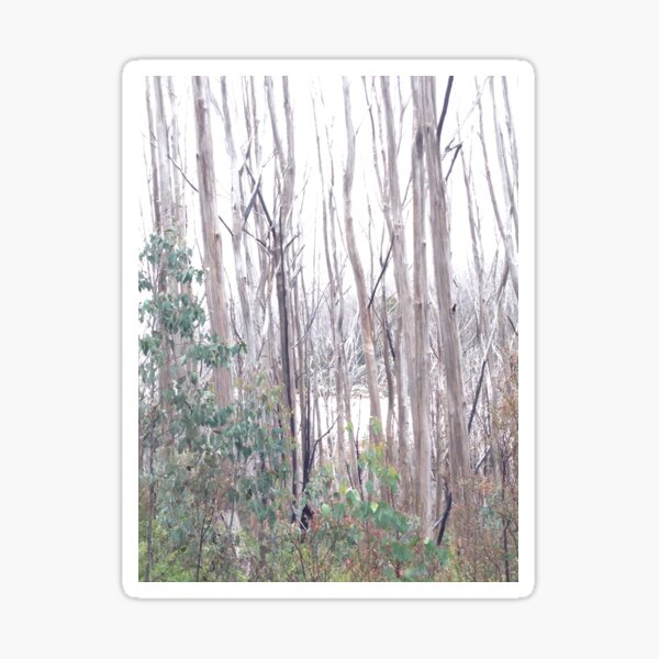 Item preview, Trees and snow designed and sold by stephg13.