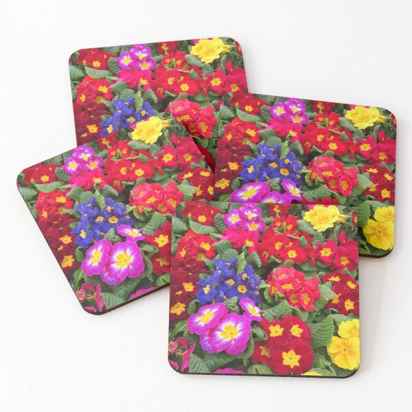 Item preview, A Colorful Springtime Medley of Primulas designed and sold by walkswithnature.