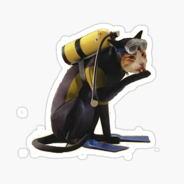 cat fishing, kitty Cat in scuba gear, funny cat swimming