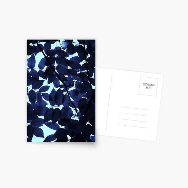 Blue Forest Postcard