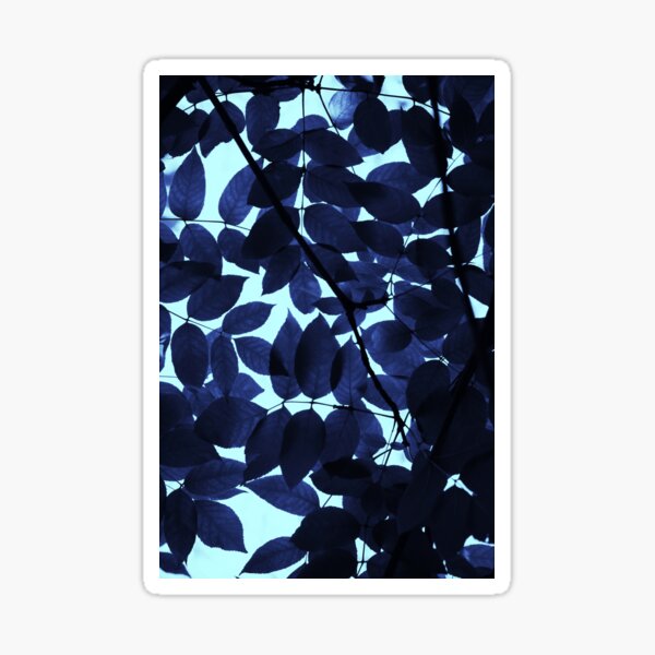 Blue Forest Sticker