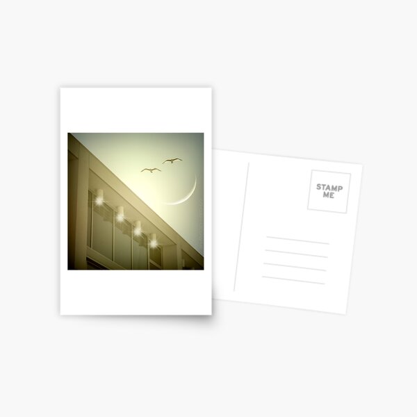 Morning lover Postcard