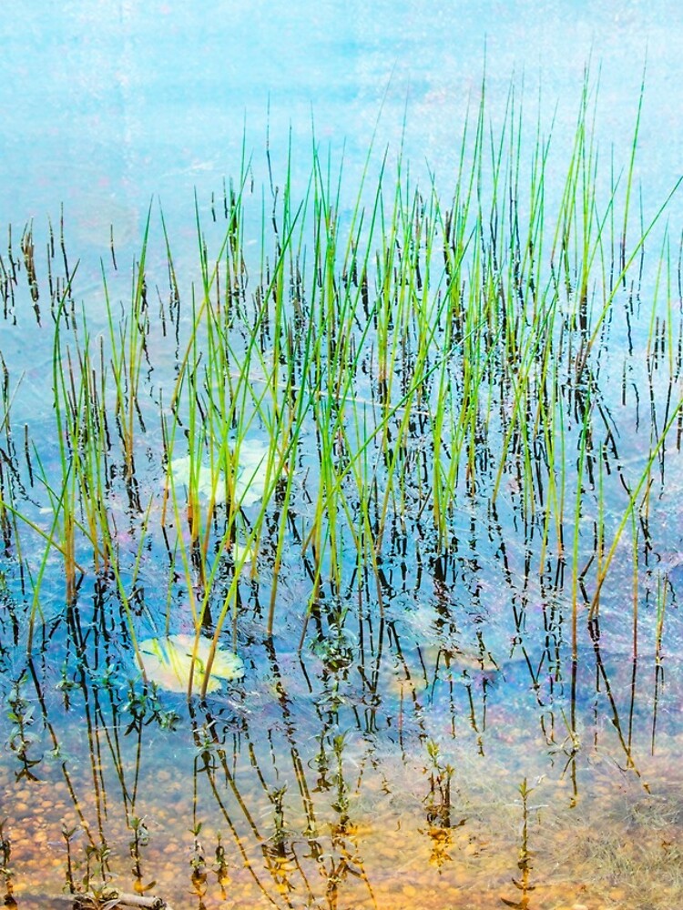 Thumbnail 4 of 4, iPhone Case, Shallow Reeds designed and sold by johnrivera.